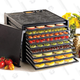 Excalibur 3926TB Food Dehydrator | $170 | Woot